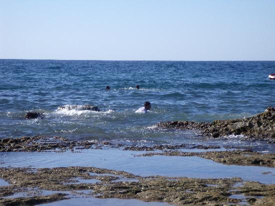 Saladin Hotel & Hostel-客卧