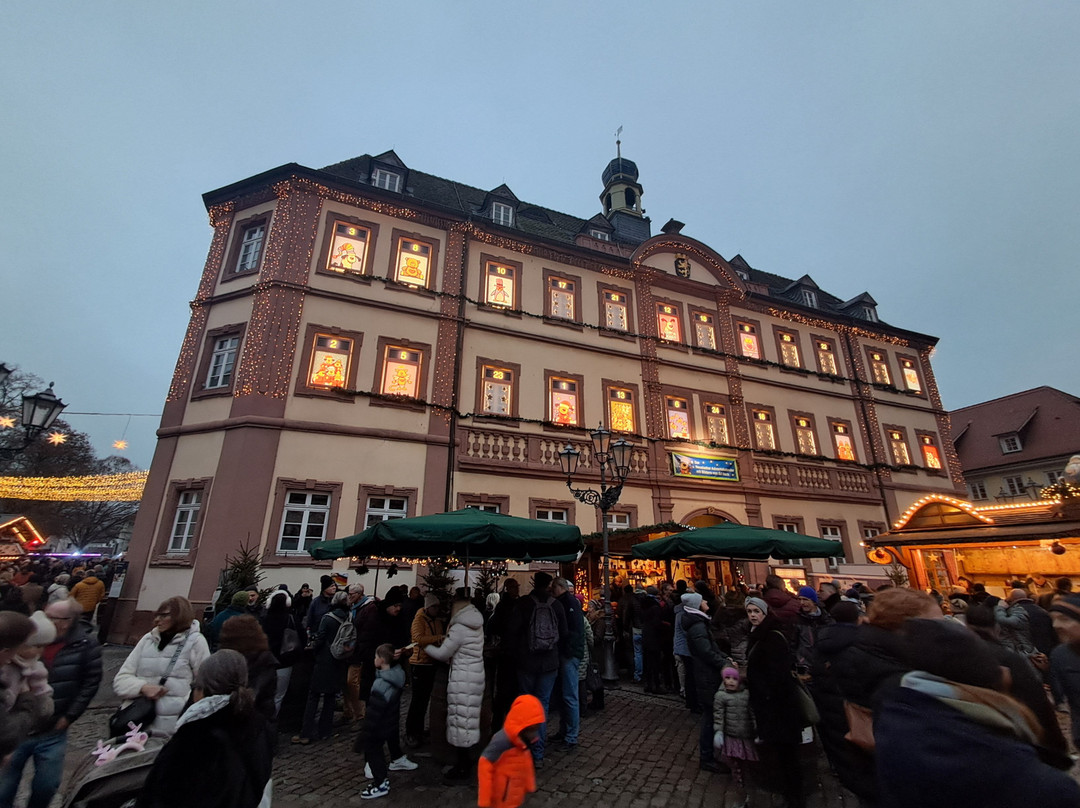 Rathaus Neustadt An Der Weinstraße