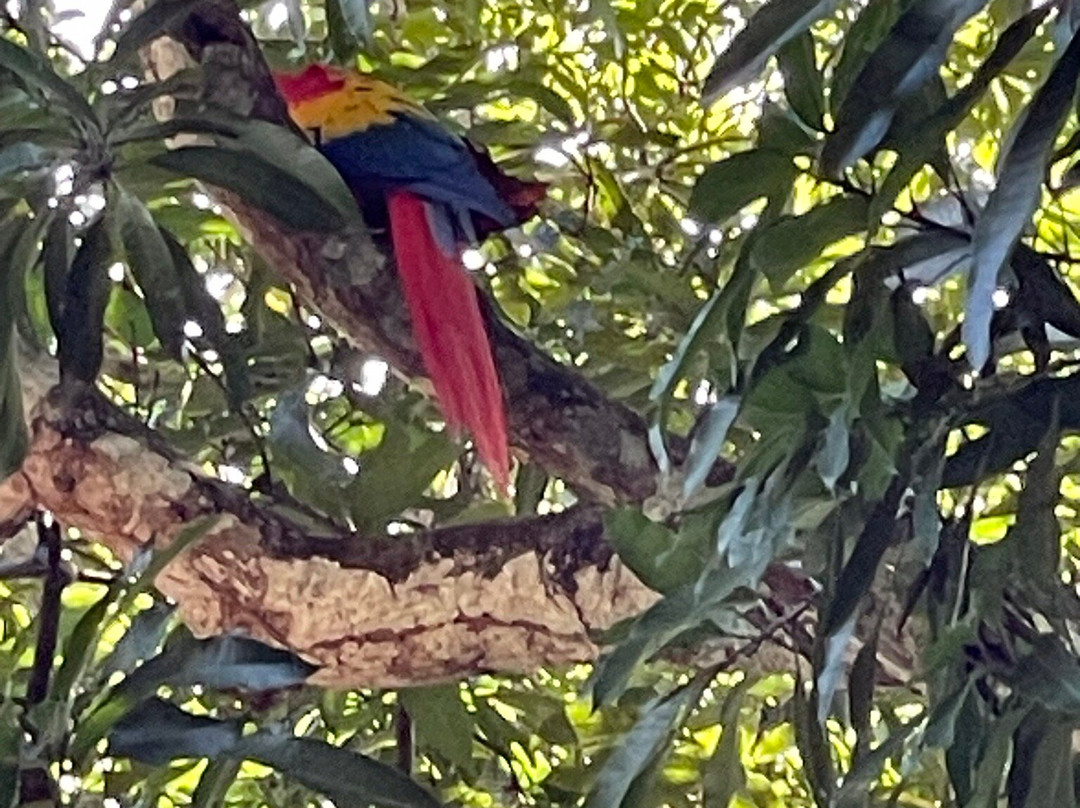 ILT Costa Rica-圣何塞必去景点