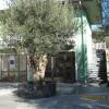 Azienda Agricola Cuntarati