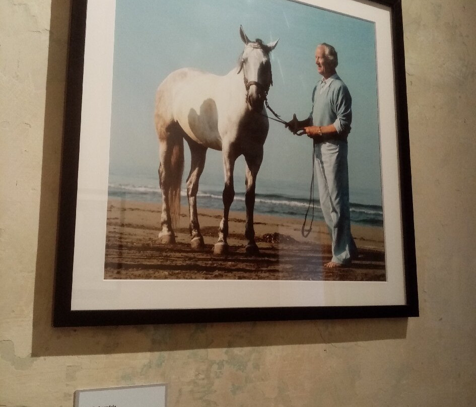 Palazzo Fabroni Arti Visive Contemporanee-皮斯托亚必去景点