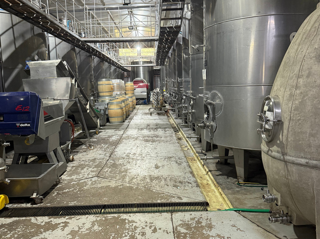 Laura Hartwig Winery-圣克鲁斯必去景点