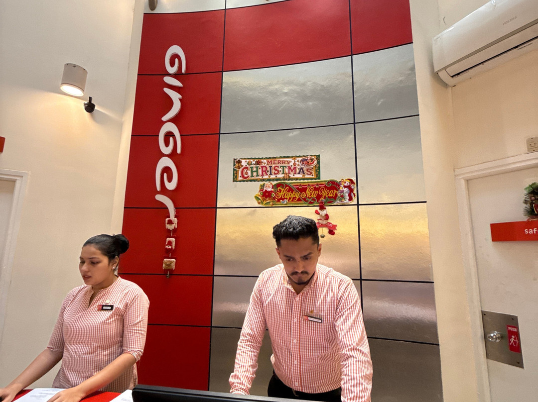 曼加尔生姜酒店主图