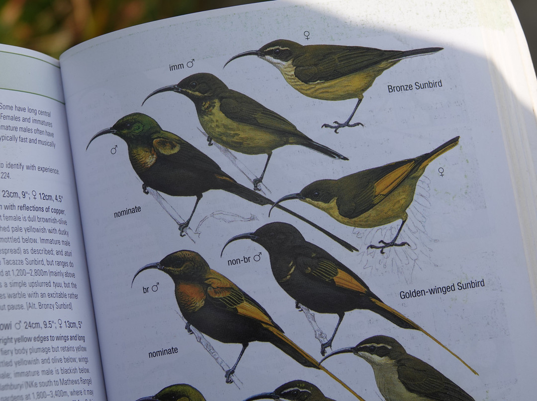 Beyond the Gorillas Experience-Ruhengeri必去景点