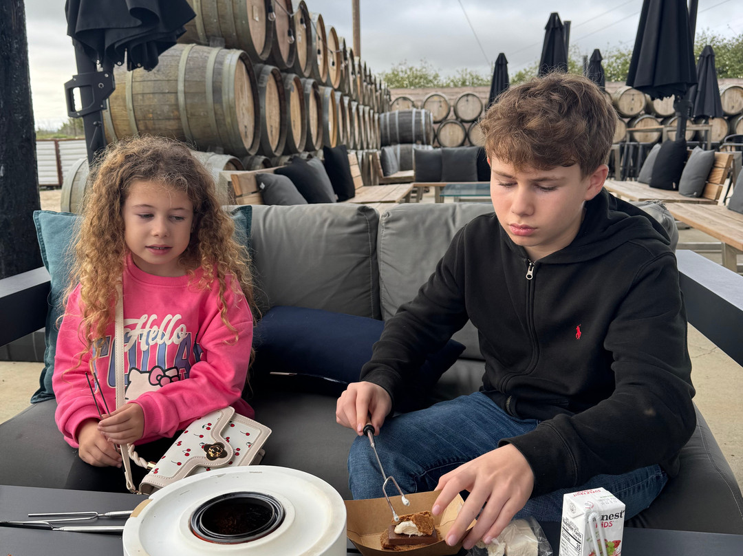 Chamisal Vineyards-圣路易斯-奥比斯波必去景点