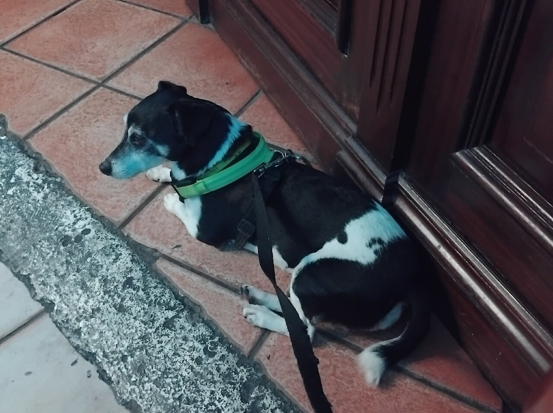 The Lord Nelson Kidwelly