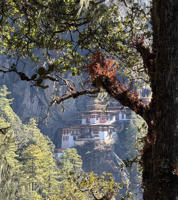 Tripkarado | Bhutan Travel Experts-Jaigaon必去景点