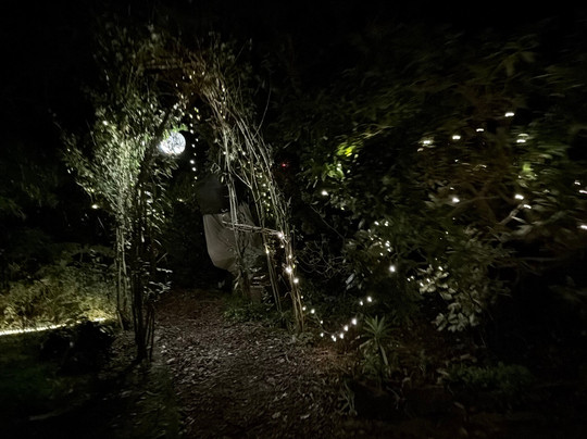 24 Ward Avenue Bed & Breakfast主图