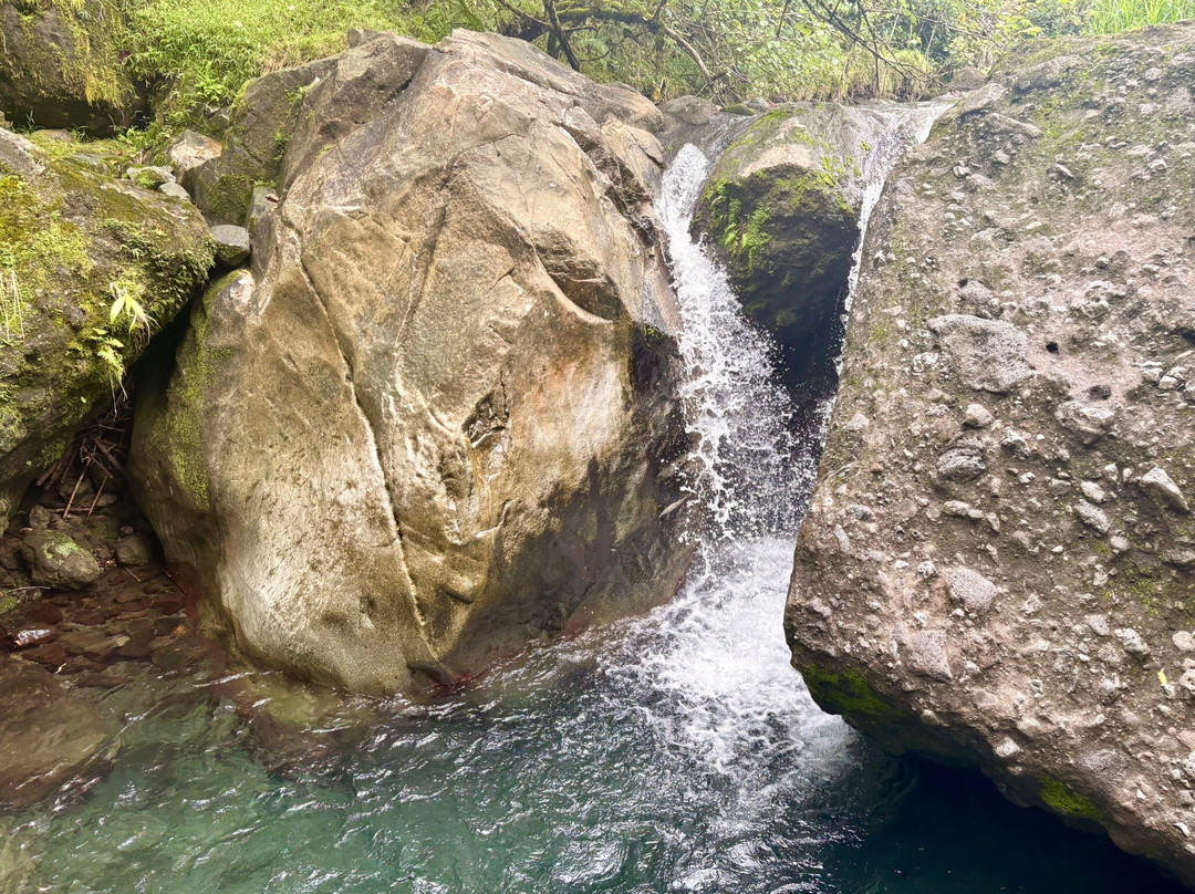 Tahiti Safari Expedition-阿鲁埃必去景点