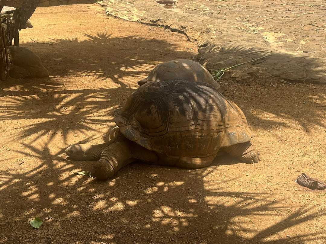 拉凡尼勒自然公园-里维耶尔德桑吉耶必去景点