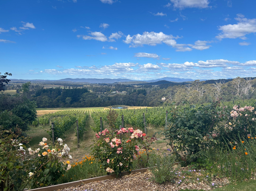 Grey Sands Vineyard-Glengarry必去景点