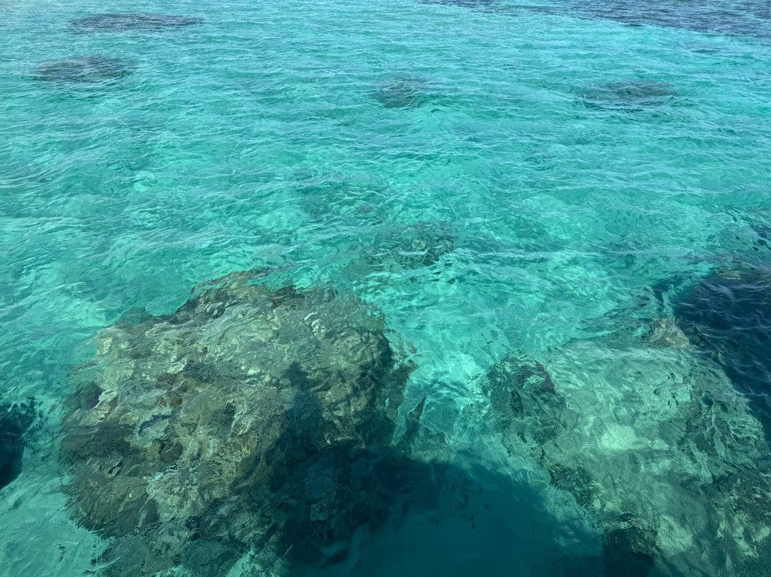 La Perla Dive Club-Sahl Hasheesh必去景点