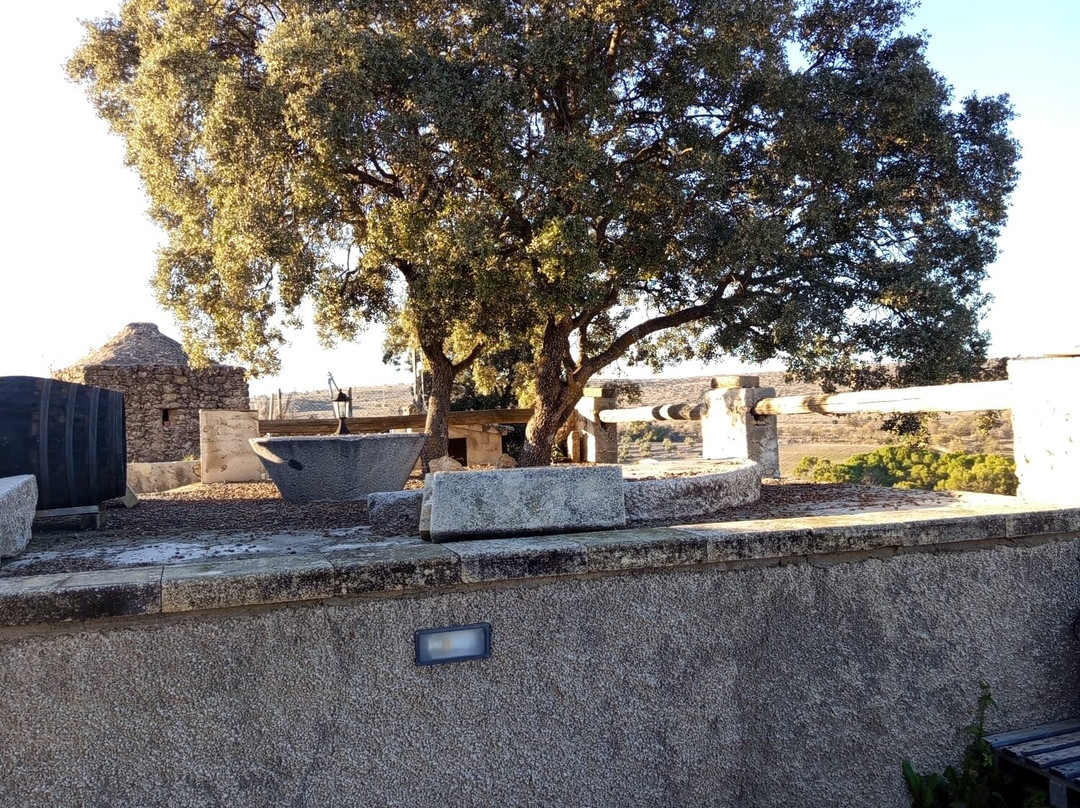 Viñedos & Bodega Marcelino Serrano-Alcala la Real必去景点