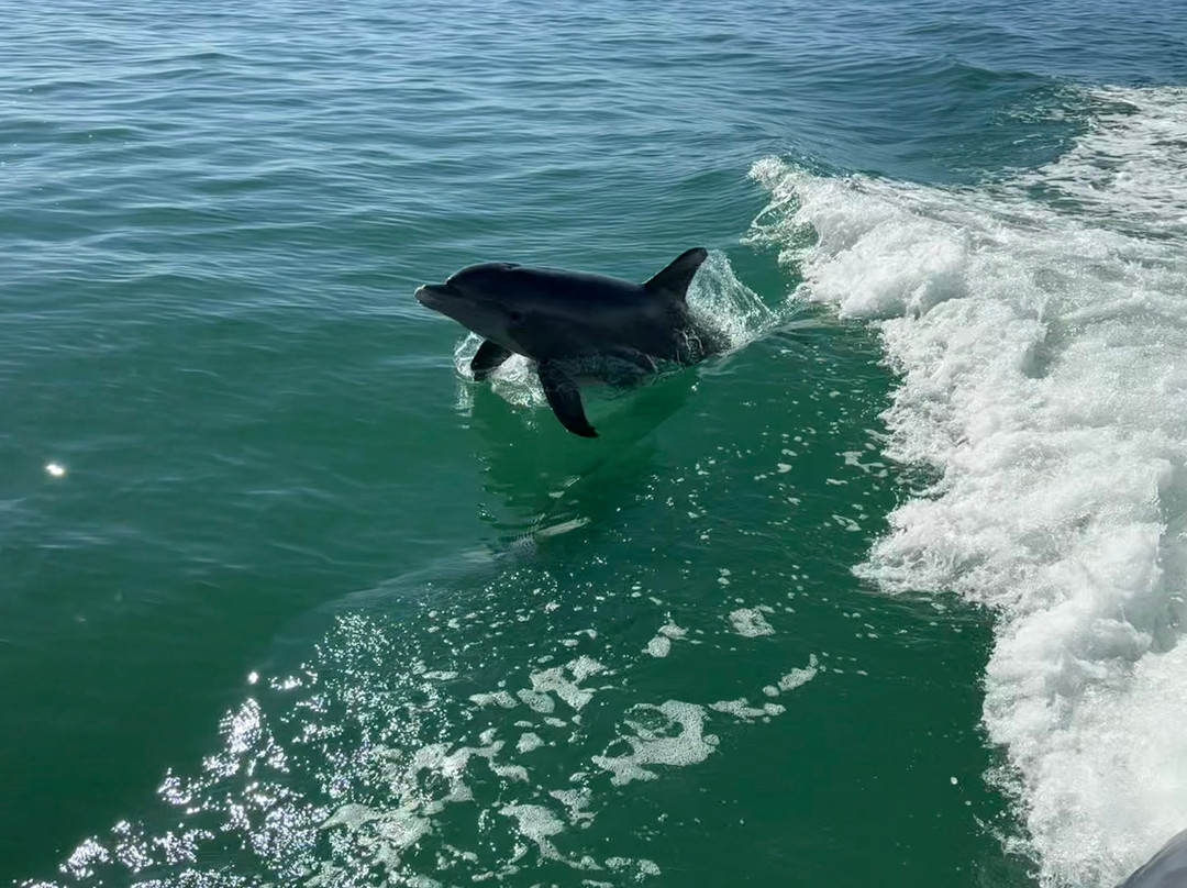 Boats And Fun-North Captiva Island必去景点
