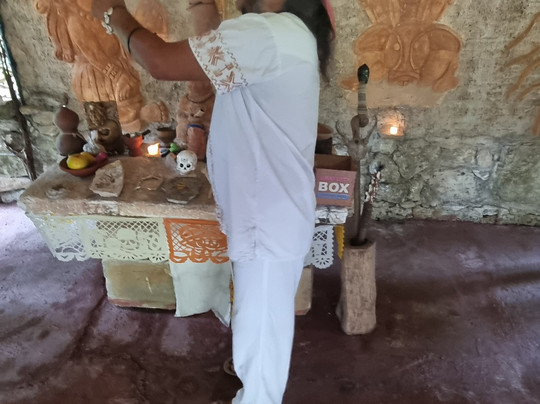 Mayan Bee Sanctuary-San Miguel de Cozumel必去景点