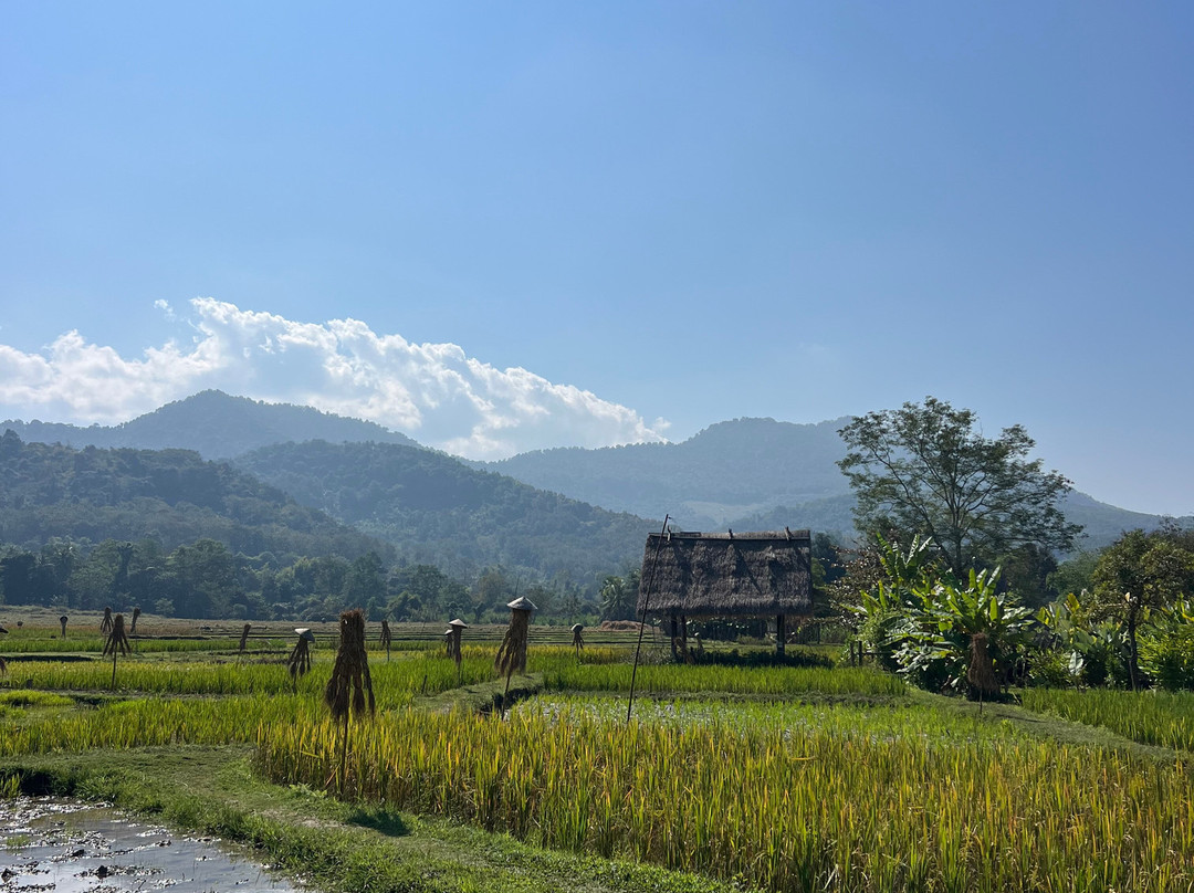 Living Land农场体验之旅-琅勃拉邦必去景点