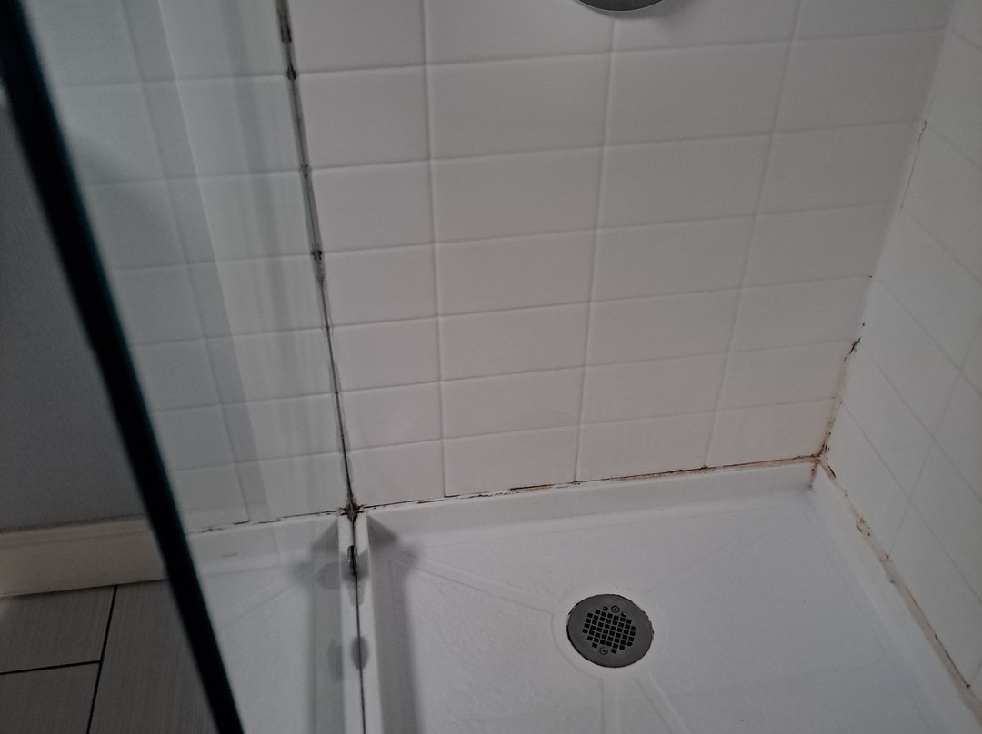 Best Western Toledo South Maumee主图