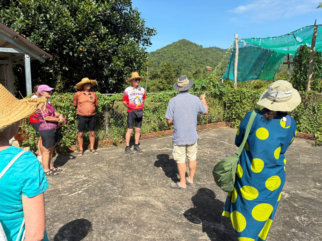BoTree Farm-贡布必去景点