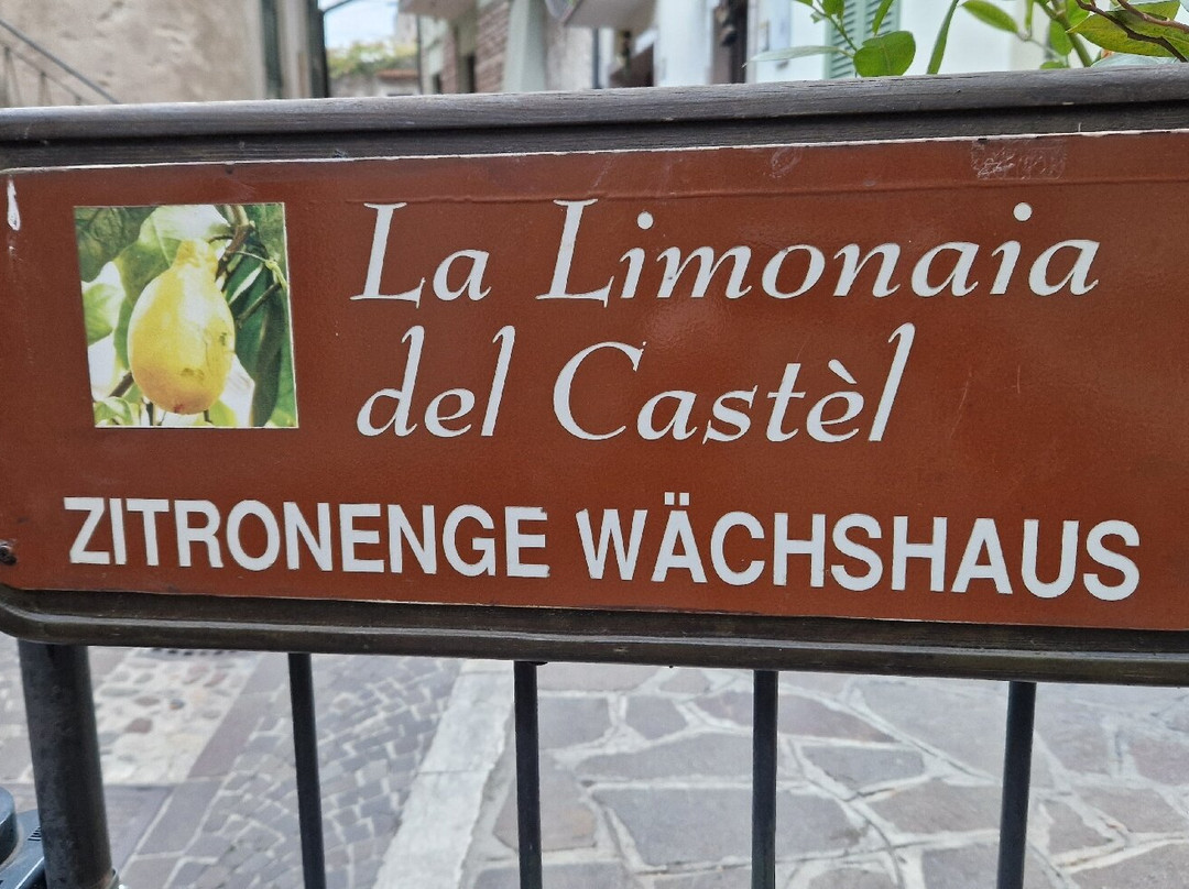 La Limonaia Del Castel-利莫内必去景点