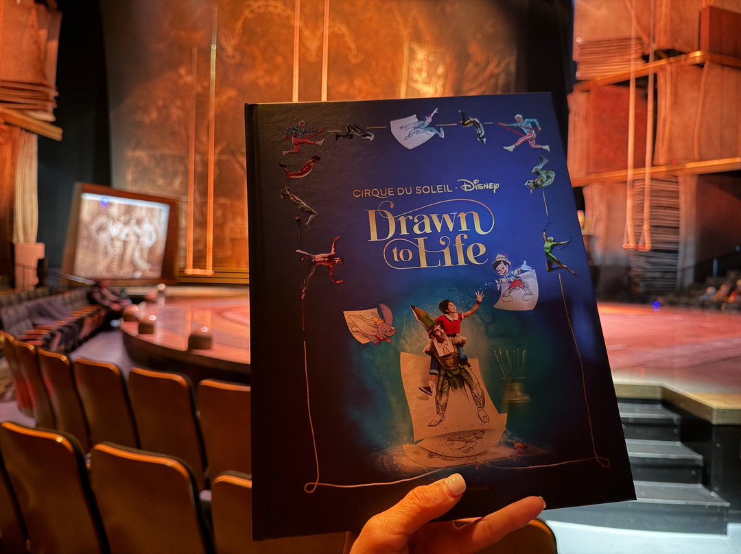 Drawn to Life by Cirque du Soleil-奥兰多必去景点