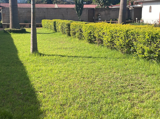 Stc Safari Lodge主图