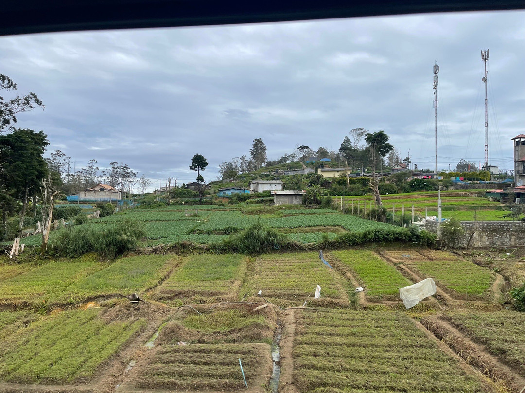 Kandy To Ella Train-阿努拉德普勒圣城必去景点