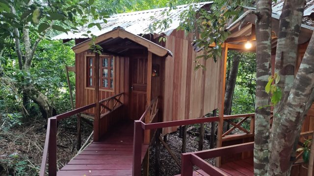 Vista do Lago Jungle Lodge-官方