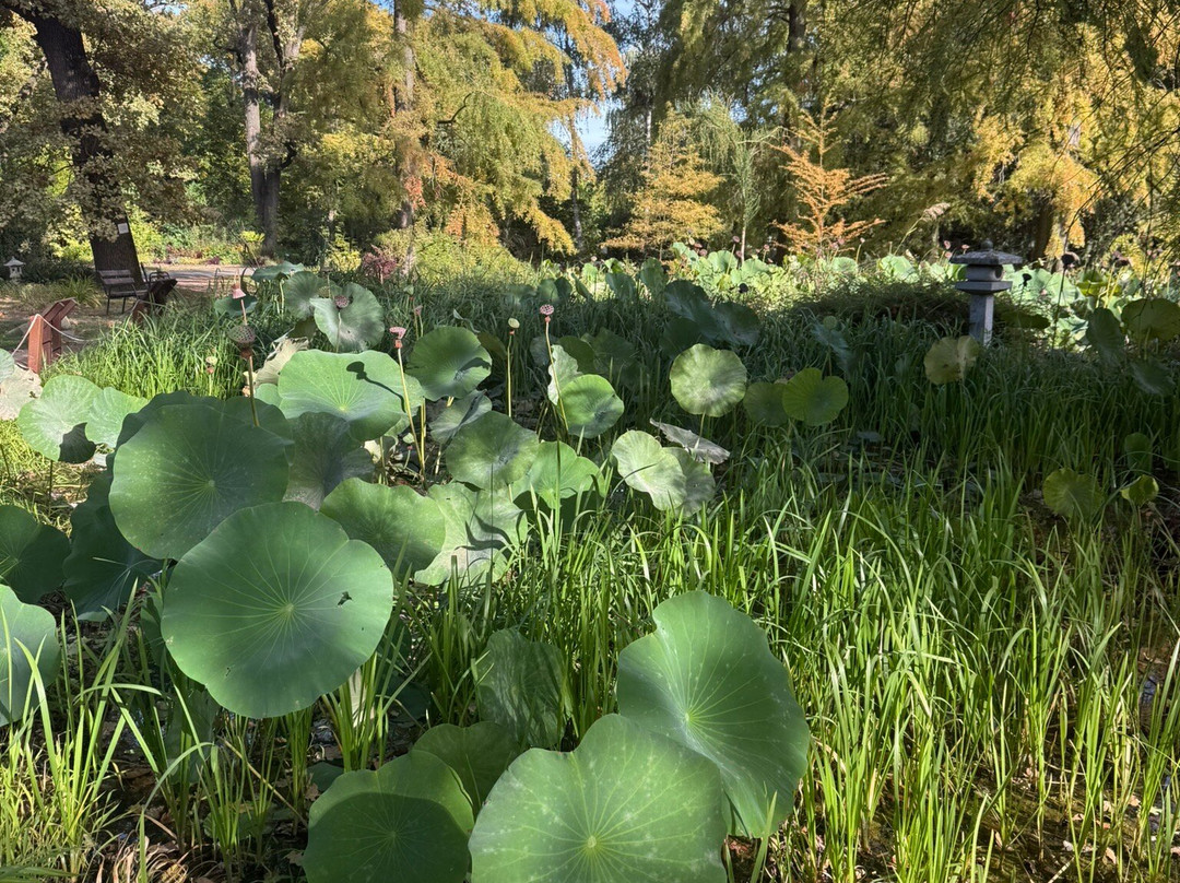 Botanical Garden of the University of Szeged-塞格德必去景点