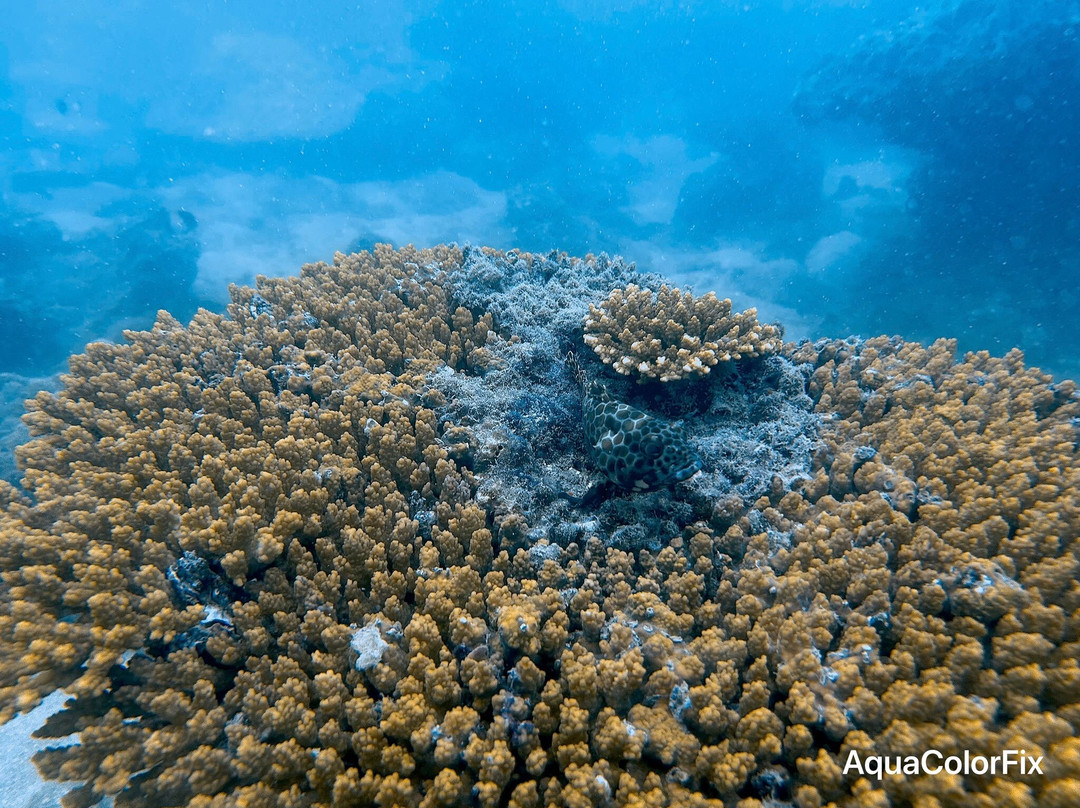 甲米萨瓦迪潜水中心-奥南必去景点