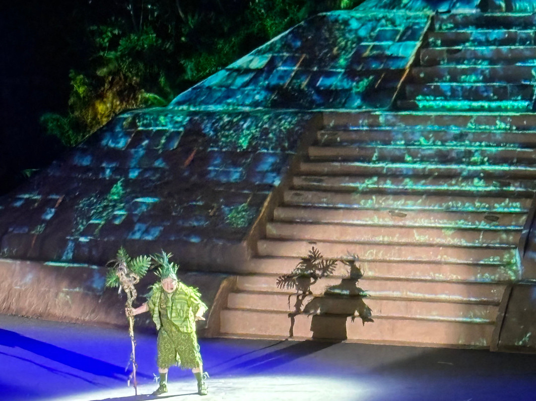 Rhythms of the Night by Vallarta Adventures-瓦拉塔港必去景点