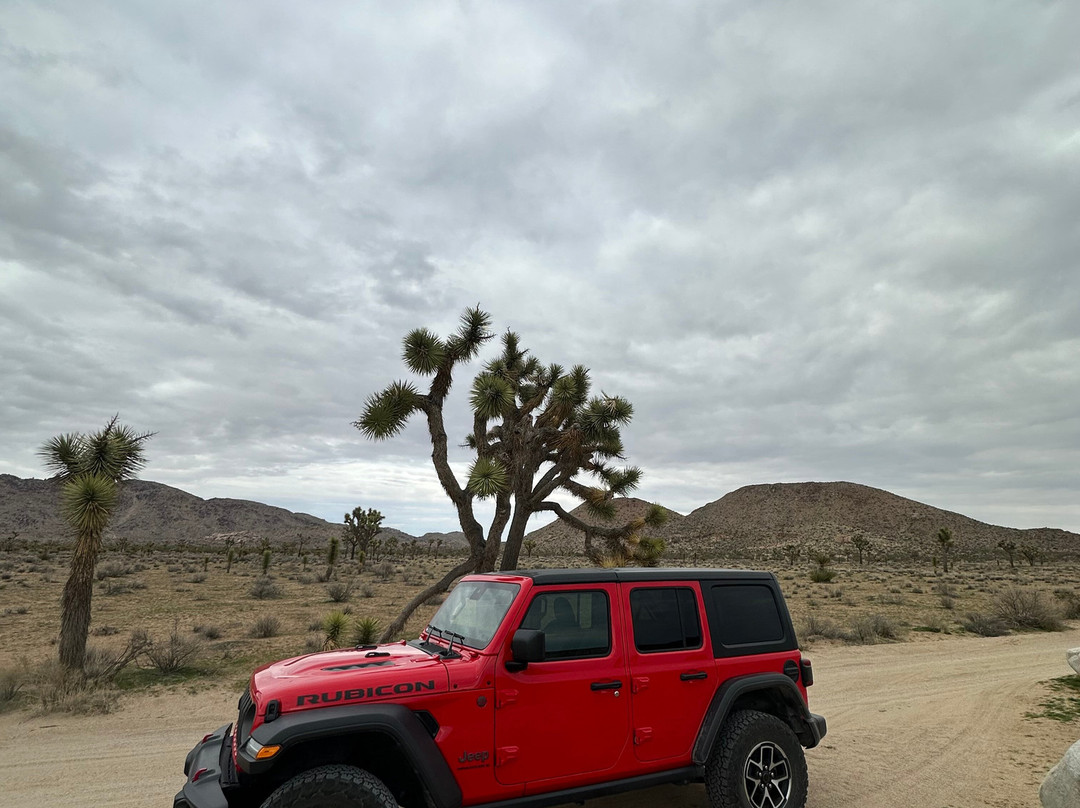 Queen Valley Road-约书亚树国家公园必去景点