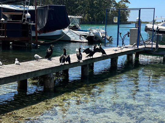 Mill Bay Boardwalk-纳鲁马必去景点