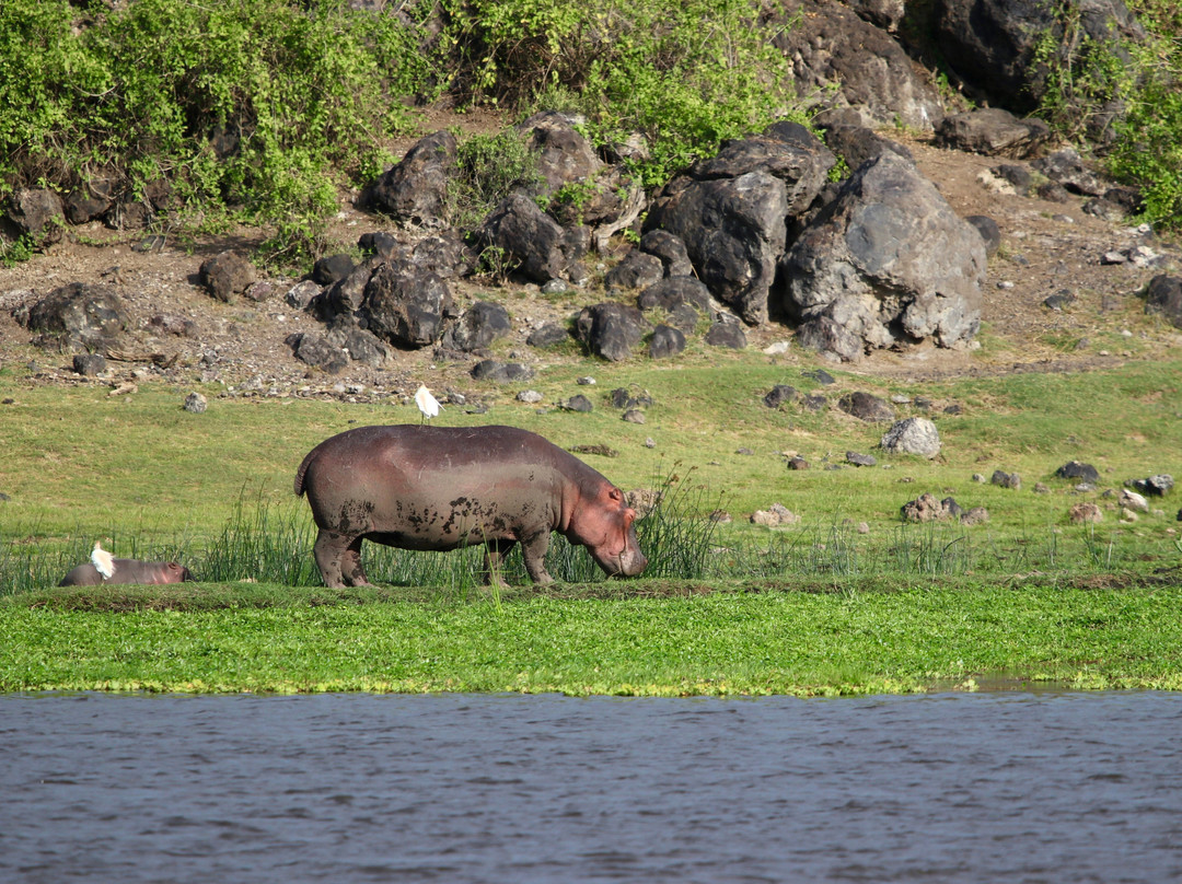 Native Afrika Voyages-内罗毕必去景点