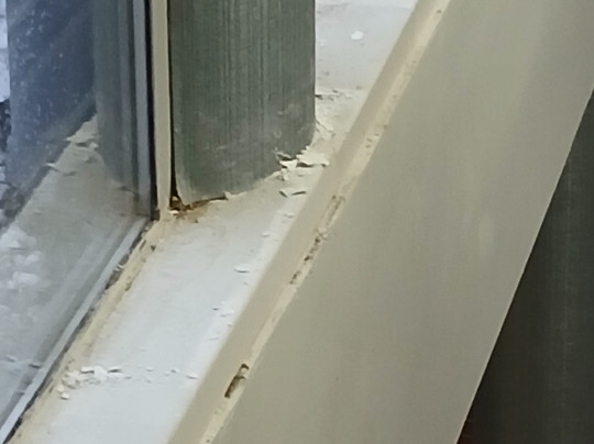 Radisson Hotel Corning主图