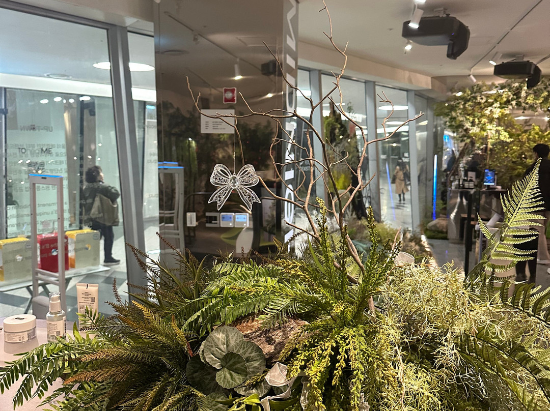 B The B-首尔必去景点