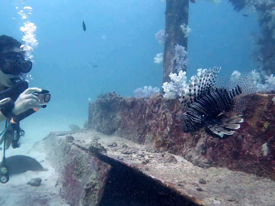 Oceanic Divecenter-卡塔海滩必去景点