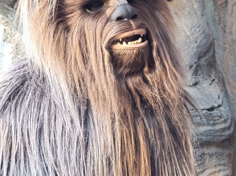 Mears Transportation-奥兰多必去景点