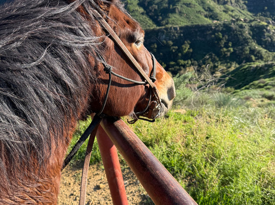 Circle Bar B Guest Ranch & Stables-戈利塔必去景点
