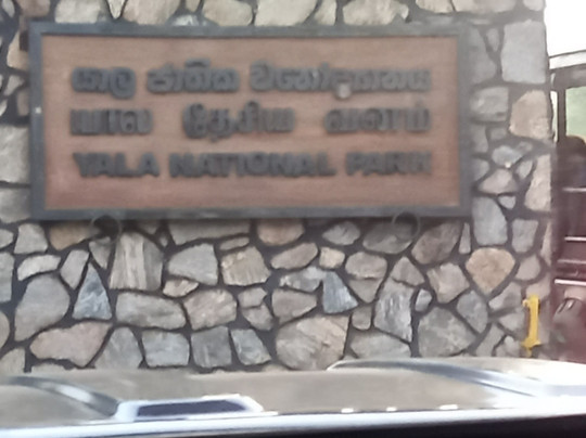 Ami Tours & Travels-坎达拉马必去景点