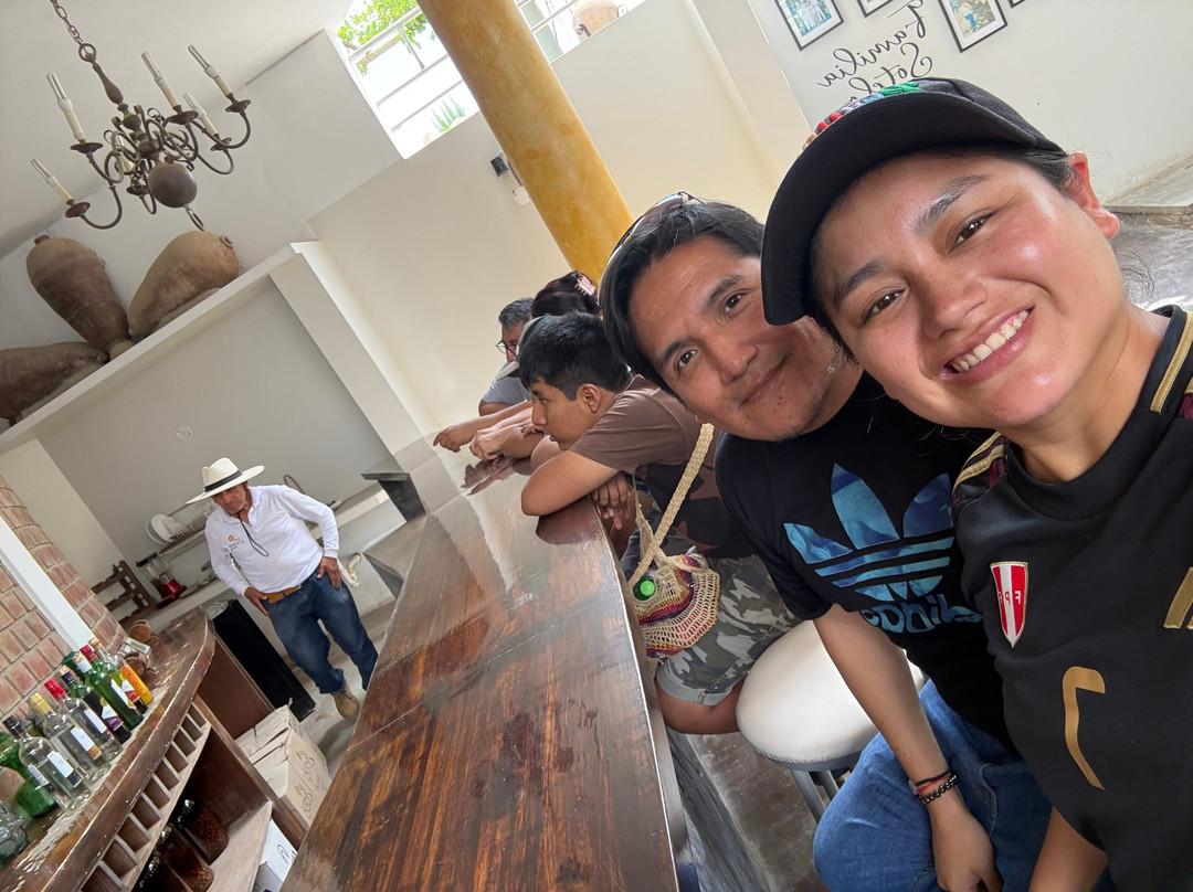 Bodega Y Viñedo Sotelo-伊卡必去景点