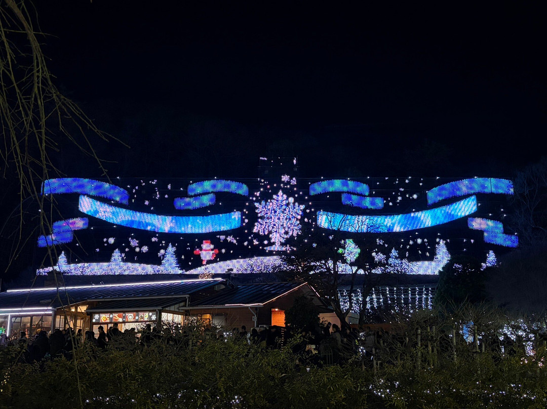 Ashikaga Flower Park-足利市必去景点