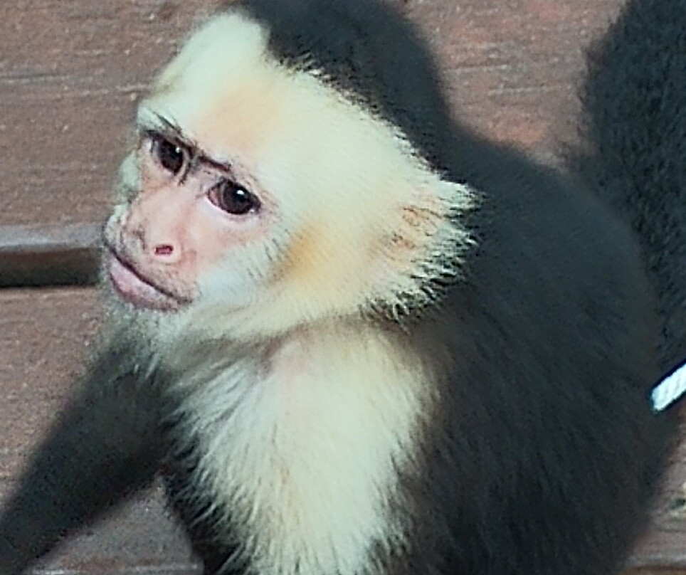 Craftours-Spring Valley必去景点