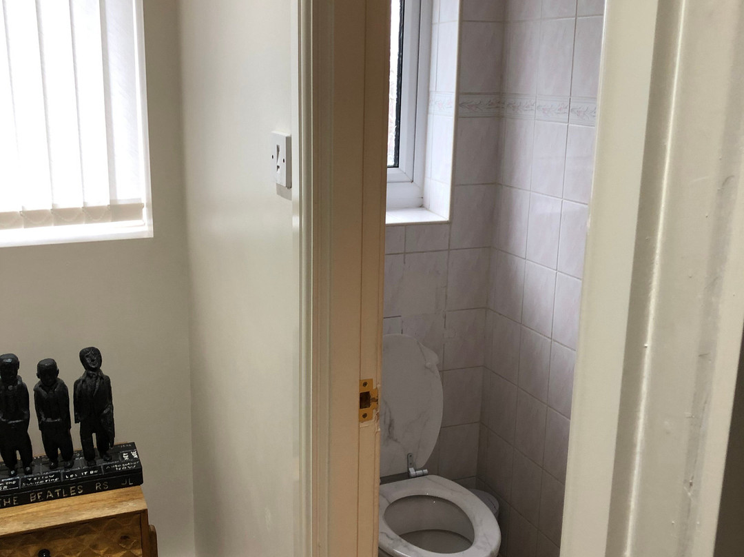 Dale Liverpool - Beatles Tour Guide-利物浦必去景点