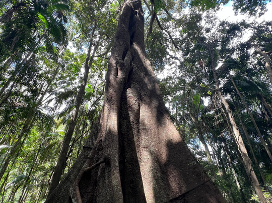 Gwinganna Retreat & Spa主图