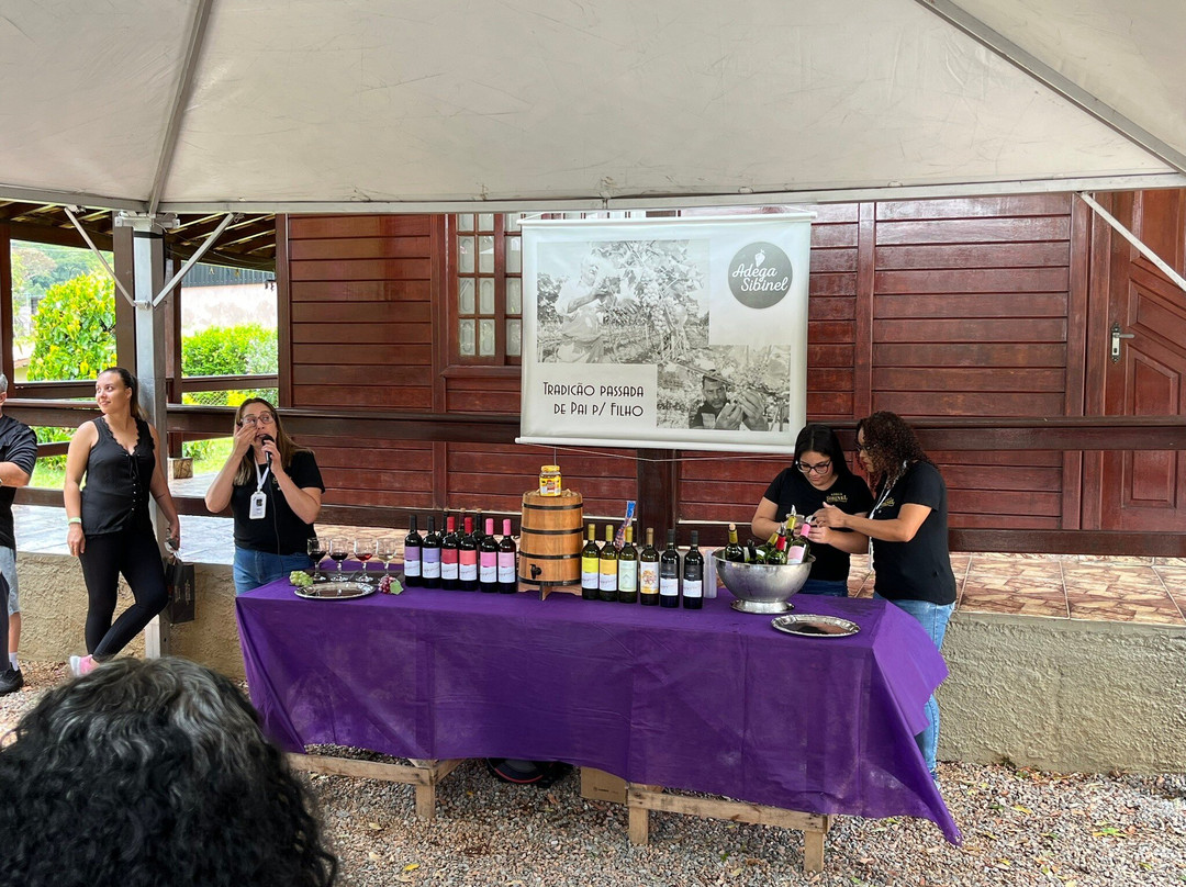 Adega Sibinel-容迪亚伊必去景点