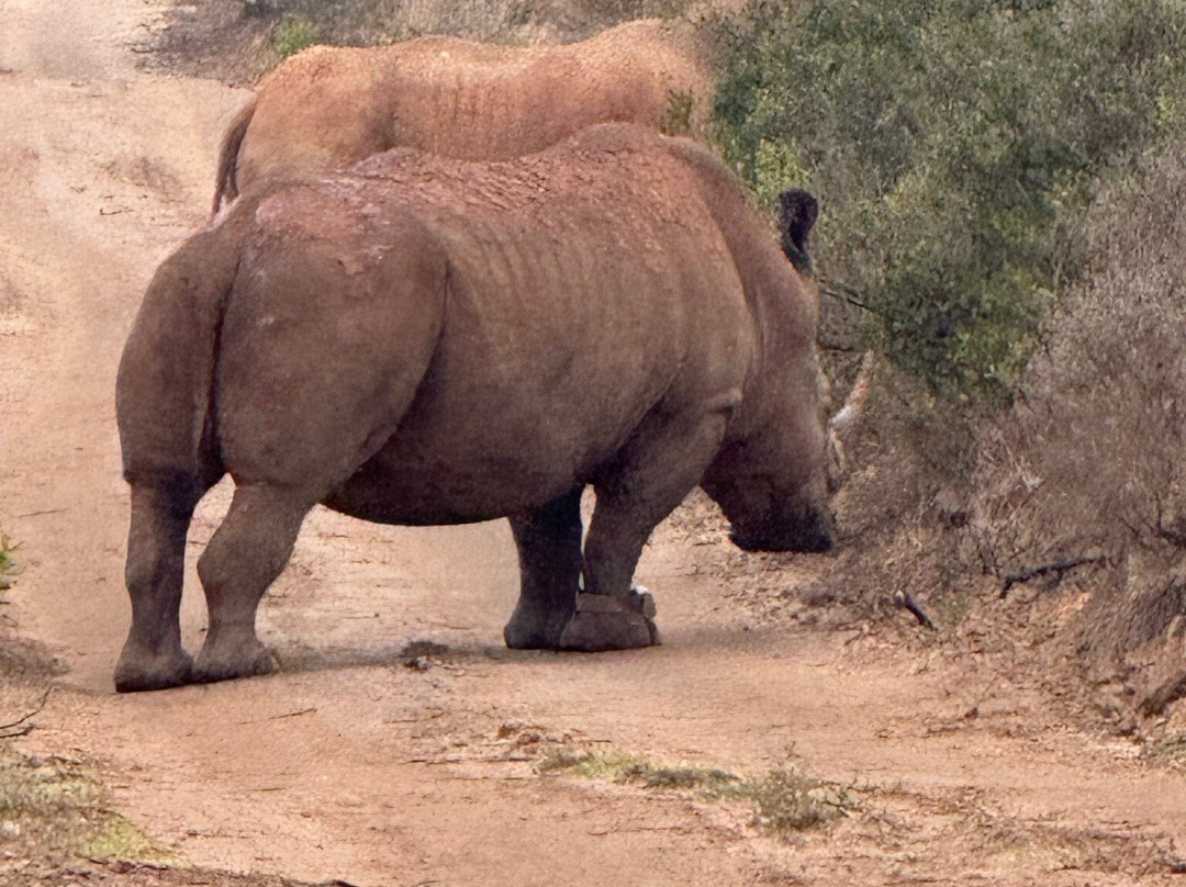 Amakahala Game Reserve-Paterson必去景点