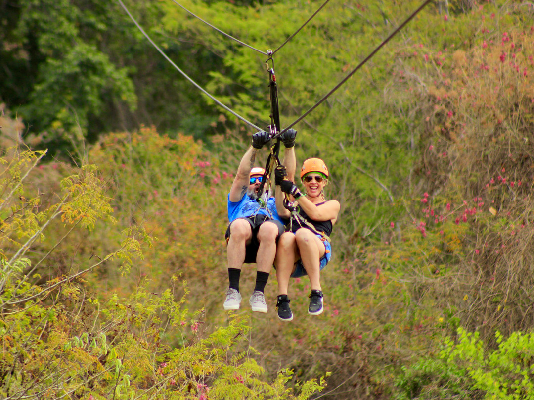 Vista Paraiso - Day Tours and Activities-Higuera Blanca必去景点