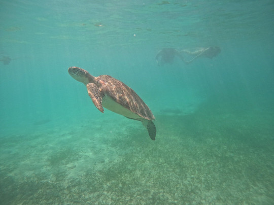 Shamanic Dusk Tulum-Tulum Beach必去景点