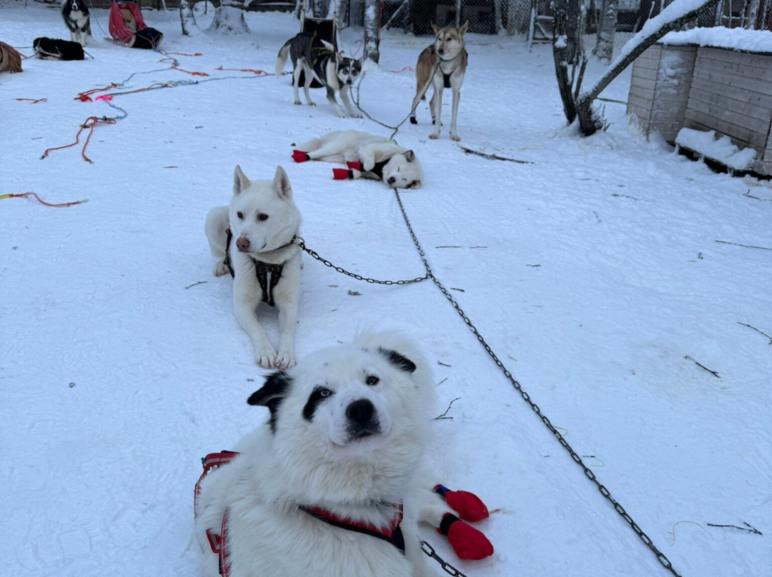 O'Nordic-Posio必去景点