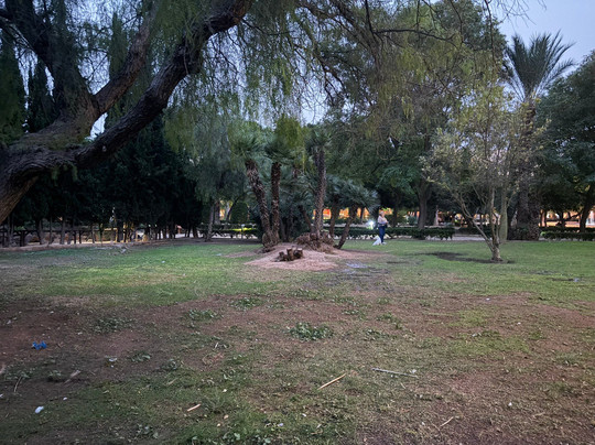 Parque De Las Naciones-托雷维耶哈必去景点